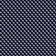 Black Chadari Fabric 14.jpg